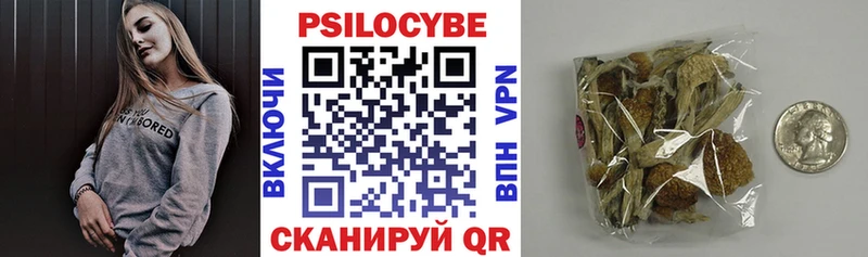 Псилоцибиновые грибы MAGIC MUSHROOMS где продают Балей